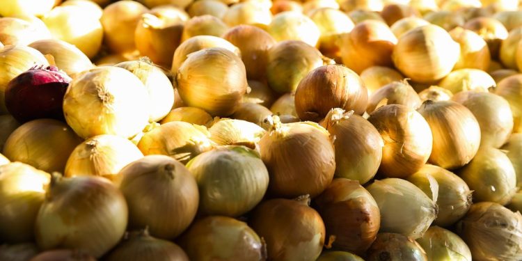 Preço das hortaliças cai nos principais mercados atacadistas