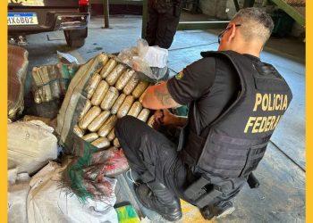 22 facções criminosas nacionais e estrangeiras atuam na Amazônia Legal, aponta estudo; mortes e tráfico de drogas aumentam na região