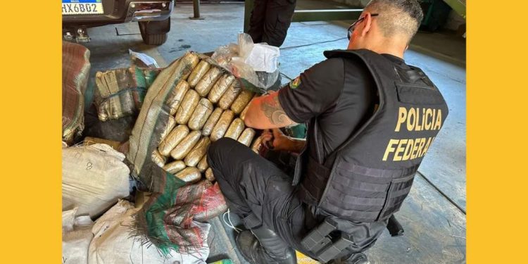 22 facções criminosas nacionais e estrangeiras atuam na Amazônia Legal, aponta estudo; mortes e tráfico de drogas aumentam na região