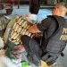 22 facções criminosas nacionais e estrangeiras atuam na Amazônia Legal, aponta estudo; mortes e tráfico de drogas aumentam na região