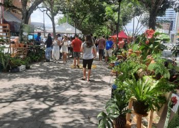 Pagamento do 13º gera perspectiva de aumento nas vendas nas feiras de arte e antiguidade