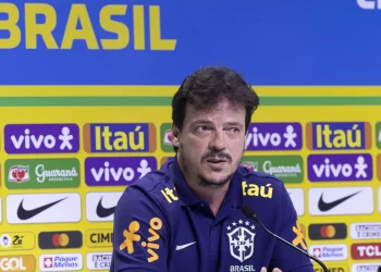 Fernando Diniz convoca seleção para jogos das Eliminatórias