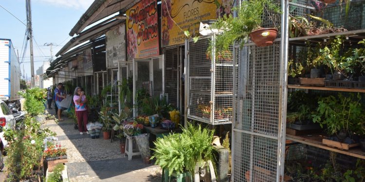 Na véspera do Dia de Finados, floristas comemoram aumento nas vendas