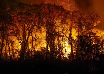 Pantanal tem mais de 3 mil incêndios em novembro; recorde histórico