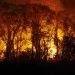 Pantanal tem mais de 3 mil incêndios em novembro; recorde histórico