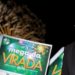 Mega da Virada 2023: veja quais são suas chances de levar o prêmio máximo