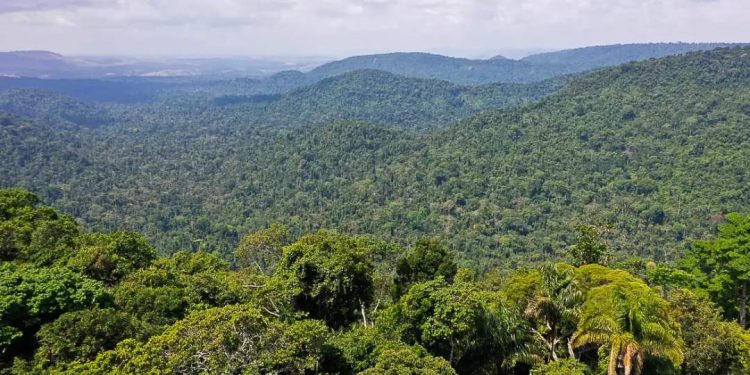 Mortes violentas na Amazônia são 45% mais altas que média nacional