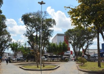 Quantitativo de árvores cresceu 20 vezes mais que o de habitantes em Feira nos últimos cinco anos