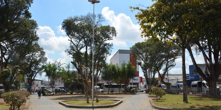 Quantitativo de árvores cresceu 20 vezes mais que o de habitantes em Feira nos últimos cinco anos