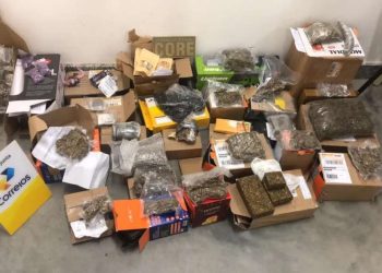 Onze quilos de drogas são encontrados em  panetones na Bahia