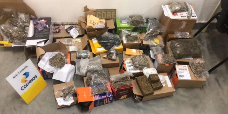 Onze quilos de drogas são encontrados em  panetones na Bahia