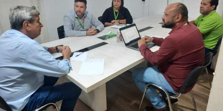 Coelba e Prefeitura de Feira firmam parceria para poda de 500 árvores