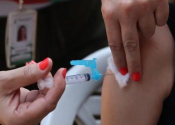 Instituto Butantan trabalha no desenvolvimento de vacina contra Zika para prevenir a microcefalia