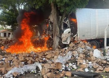 Caminhão bate em árvore e pega fogo em acidente na BR 324, próximo a Amélia Rodrigues