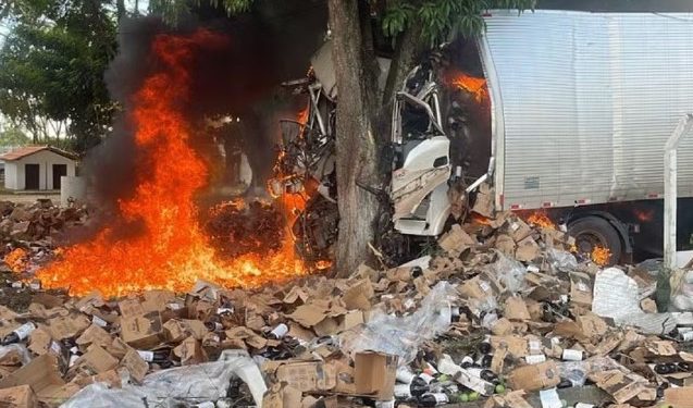 Caminhão bate em árvore e pega fogo em acidente na BR 324, próximo a Amélia Rodrigues