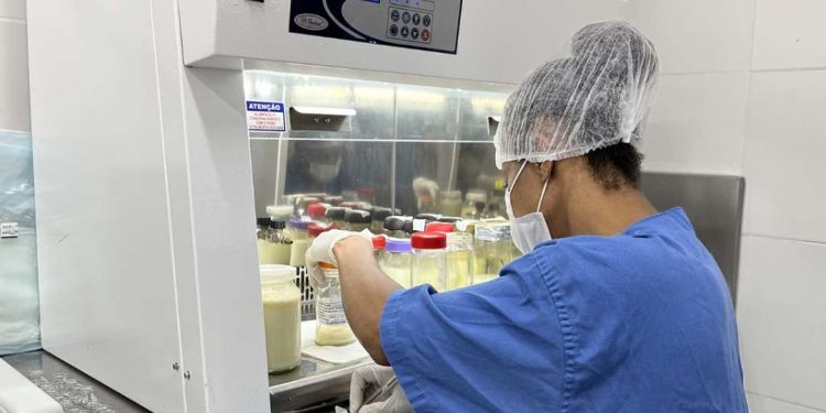 Feira: Banco de Leite do Hospital da Mulher visa aumentar estoque no primeiro trimestre de 2024
