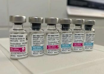 Confira o que se sabe até agora sobre a vacina contra a dengue no SUS