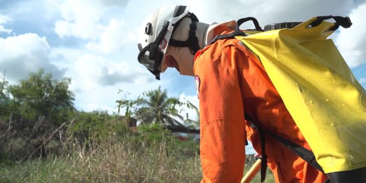 Feira: ação de queimadas pode causar prejuízos e é considerado crime ambiental