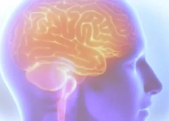 Mais de 110 mil brasileiros morreram por AVC até novembro de 2023