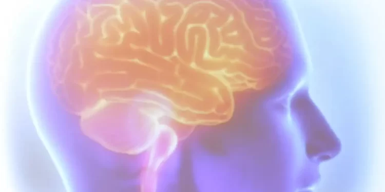 Mais de 110 mil brasileiros morreram por AVC até novembro de 2023