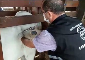 Governo publica edital para 160 vagas na Agência Estadual de Defesa Agropecuária da Bahia