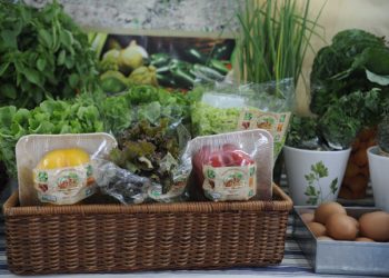 Oito em dez brasileiros adotam hábitos sustentáveis sempre ou na maioria das vezes, aponta pesquisa da CNI