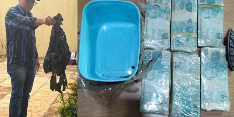 Aposentado encontra R$60 mil enterrado em quintal de casa e entrega a polícia