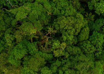 BNDES destina R$ 500 milhões para dar apoio financeiro a projetos de infraestrutura