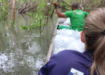 Bahia Pesca e UFRB oferecem oportunidade de bolsas a recém-formados