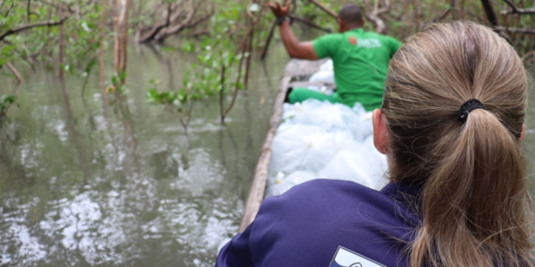 Bahia Pesca e UFRB oferecem oportunidade de bolsas a recém-formados