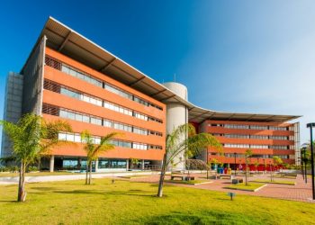 Bahia se consolida na liderança regional no desenvolvimento de startups