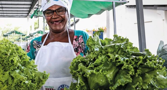 Garantia-Safra autoriza pagamento para mais de 216 mil agricultores familiares baianos