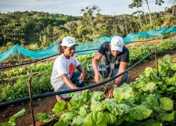 Edital que garante água para produção e cuidado animal será lançado segunda-feira (25)