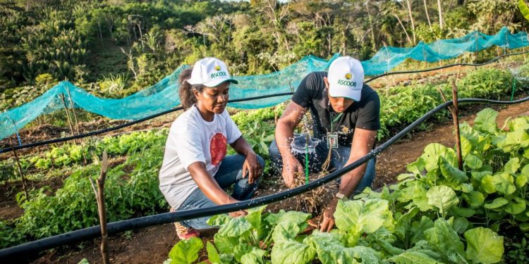 Edital que garante água para produção e cuidado animal será lançado segunda-feira (25)