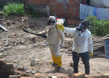 Prefeitura de Feira intensifica eliminação de criadouros do mosquito aedes aegypti