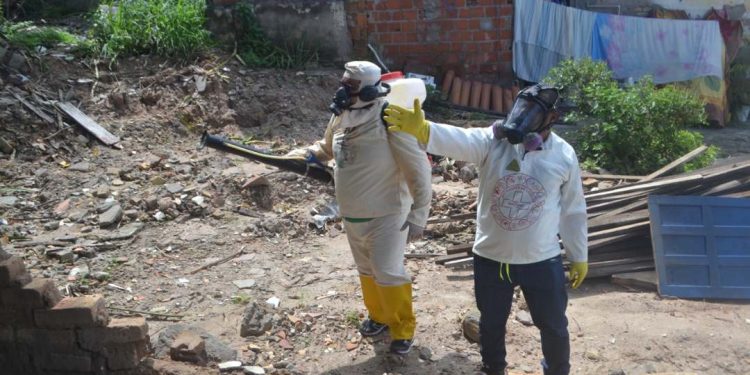 Prefeitura de Feira intensifica eliminação de criadouros do mosquito aedes aegypti