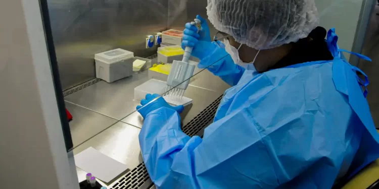 Novo teste de HPV no SUS pode antecipar diagnóstico em até 10 anos