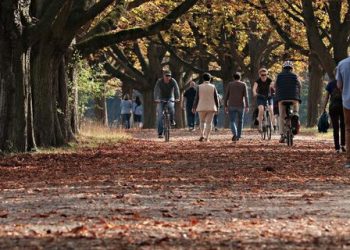 Está preparado para a chegada do outono? Confira as principais características da estação