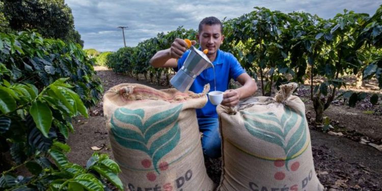 Dia Mundial do Café: investimentos na produção geram impactos positivos na qualidade do café e na economia da Bahia