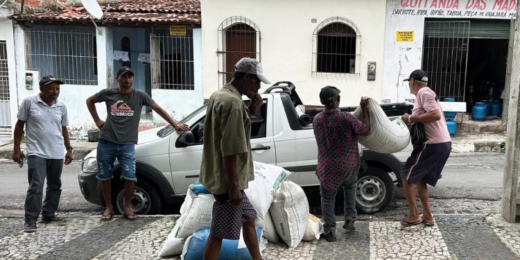 Prefeitura de Feira já distribuiu mais de 34 mil quilos de ração animal na zona rural