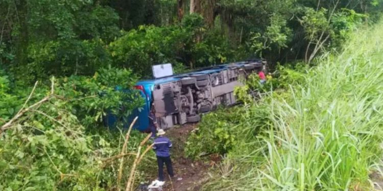 Acidente deixa 13 pessoas feridas após ônibus tombar na BR-101