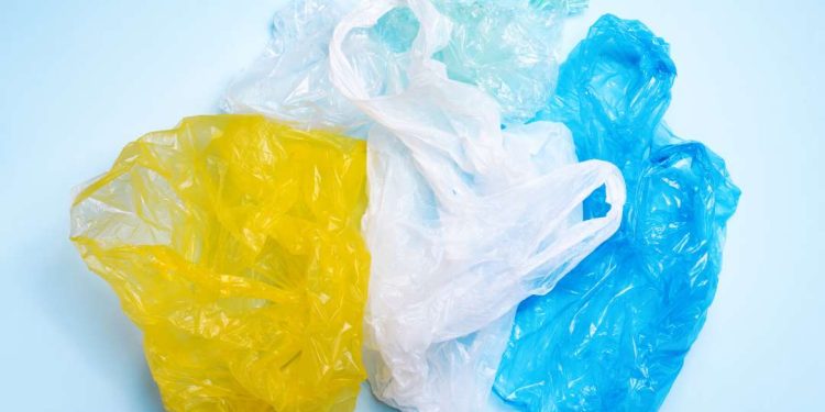 Salvador proíbe sacolas plásticas em estabelecimentos comerciais a partir do dia 12 de maio