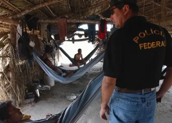 Trabalho escravo: governo inclui 248 empregadores em lista suja