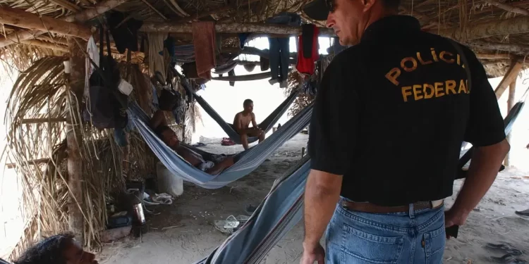 Trabalho escravo: governo inclui 248 empregadores em lista suja