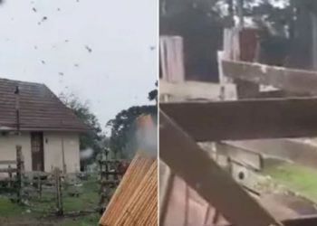 Região Sul do país registra neve pela primeira vez no ano