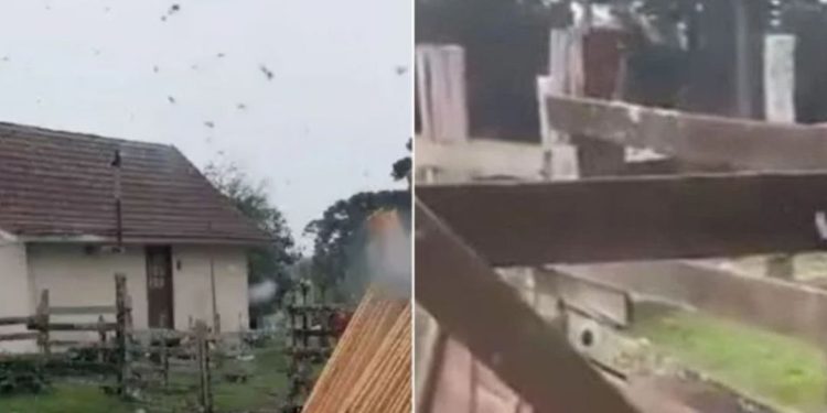 Região Sul do país registra neve pela primeira vez no ano