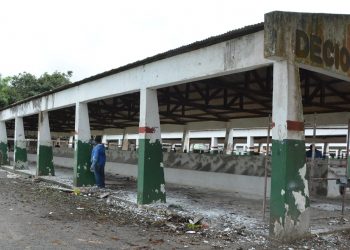 Avançam obras de revitalização no Parque João Martins da Silva