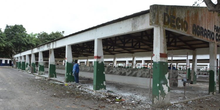 Avançam obras de revitalização no Parque João Martins da Silva