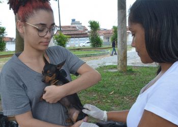 Mais de 4,8 mil cães e gatos foram vacinados contra a raiva em Feira