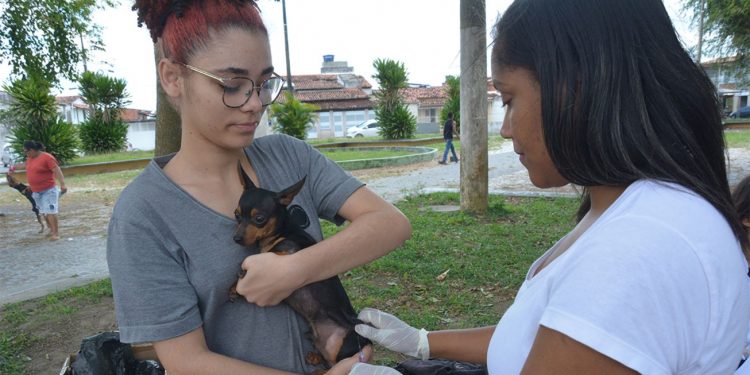 Mais de 4,8 mil cães e gatos foram vacinados contra a raiva em Feira